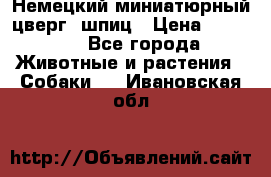 Немецкий миниатюрный(цверг) шпиц › Цена ­ 50 000 - Все города Животные и растения » Собаки   . Ивановская обл.